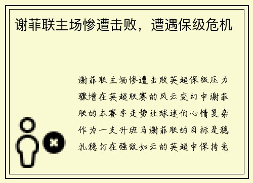 谢菲联主场惨遭击败，遭遇保级危机