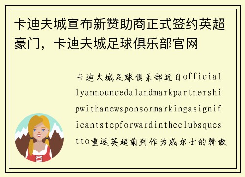 卡迪夫城宣布新赞助商正式签约英超豪门，卡迪夫城足球俱乐部官网