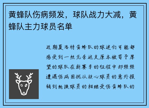 黄蜂队伤病频发，球队战力大减，黄蜂队主力球员名单